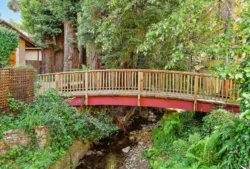 Wooden bridge over creek surrounded by trees and fernswooden-walkway.jpg
