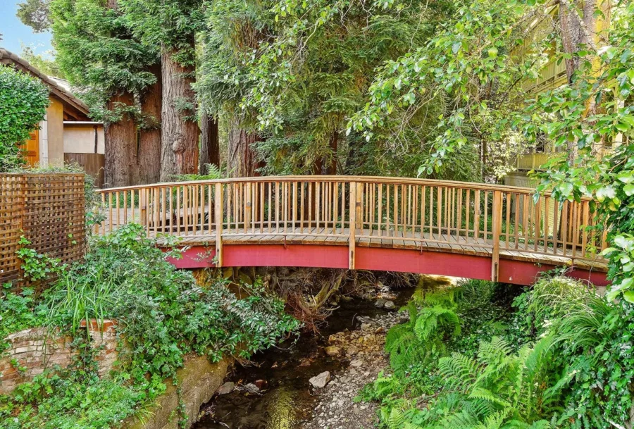 Wooden bridge over creek surrounded by trees and ferns